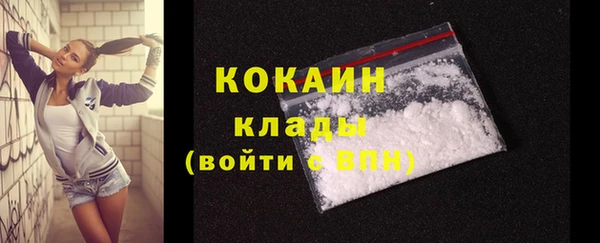 прущие грибы Богородск
