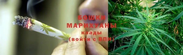 прущие грибы Богородск