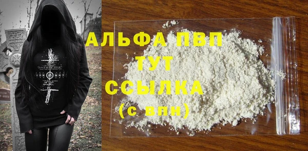 гидра Богородицк