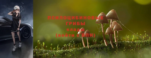гидра Богородицк