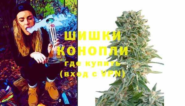 гидра Богородицк