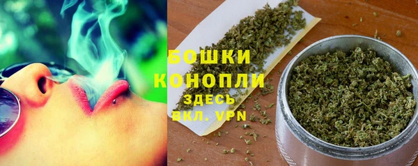 гидра Богородицк