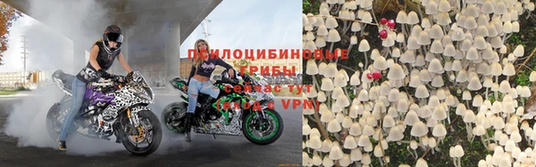 гидра Богородицк
