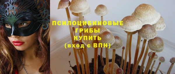 прущие грибы Богородск