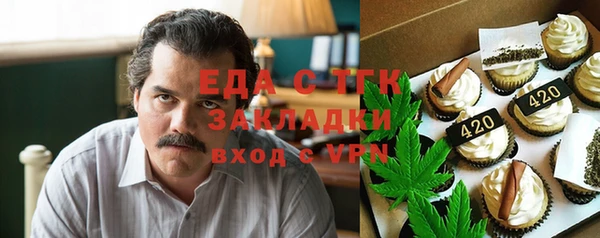 гидра Богородицк