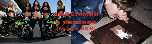 прущие грибы Богородск