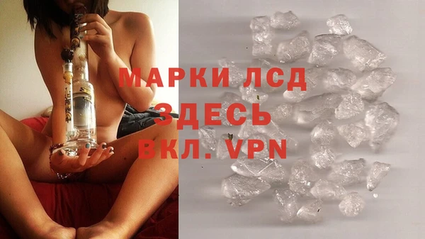 гидра Богородицк