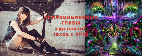 гидра Богородицк