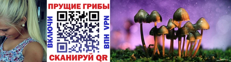 где продают наркотики  гидра tor  Галлюциногенные грибы Cubensis  Нефтеюганск 